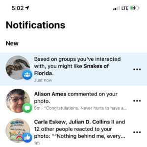 Facebook screenshot showing a recommendation for the Florida snake group